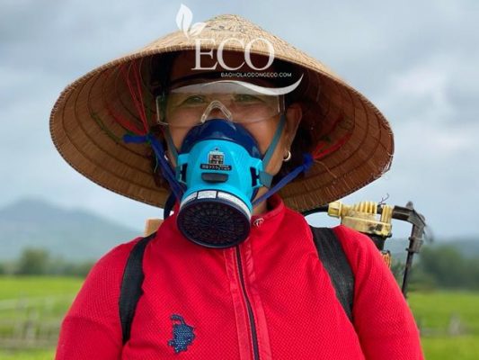 Mang họa khi phun thuốc trừ sâu không dùng mặt nạ phòng độc