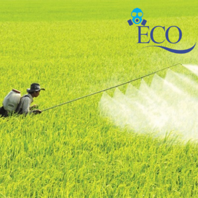 Thiet ke chua co ten